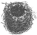 Гнездо (по Михееву, 1996)